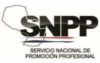 Paraguay SNPP Cyber Robotics Coding Competition